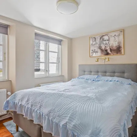 Prime Location - Near Nyhavn & Tivoli Gardens Apartment